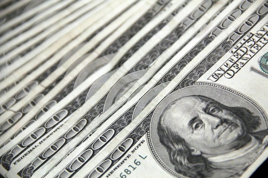 hsbc multi cap investment fund